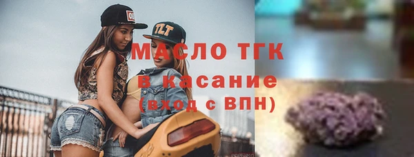 дмт Вяземский